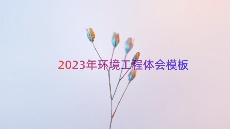 2023年环境工程体会（模板12篇）