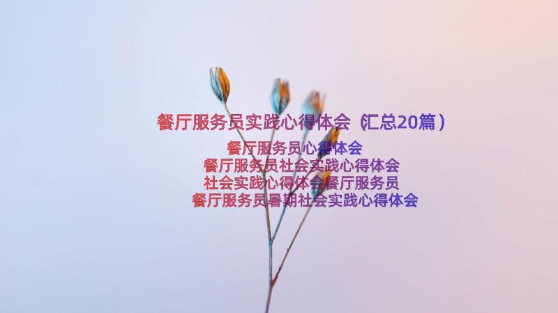 餐厅服务员实践心得体会（汇总20篇）