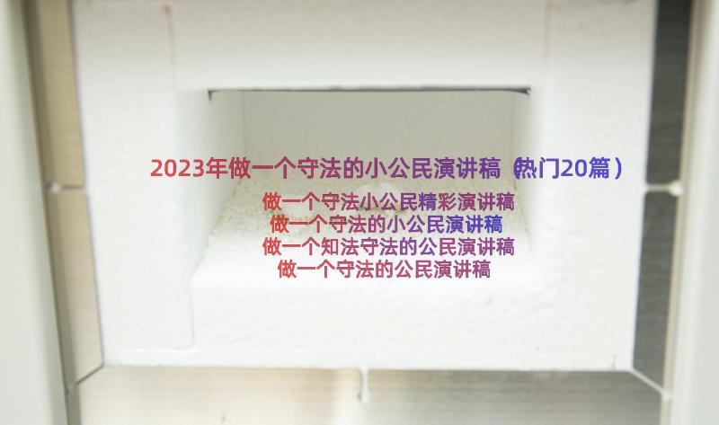 2023年做一个守法的小公民演讲稿（热门20篇）