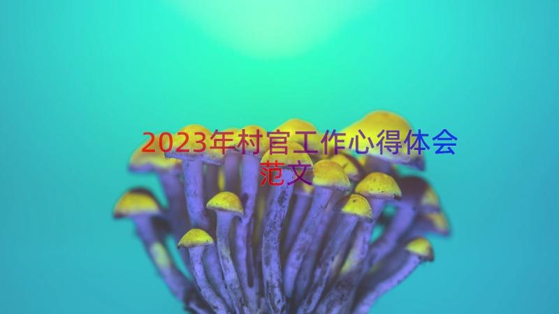 2023年村官工作心得体会范文（17篇）