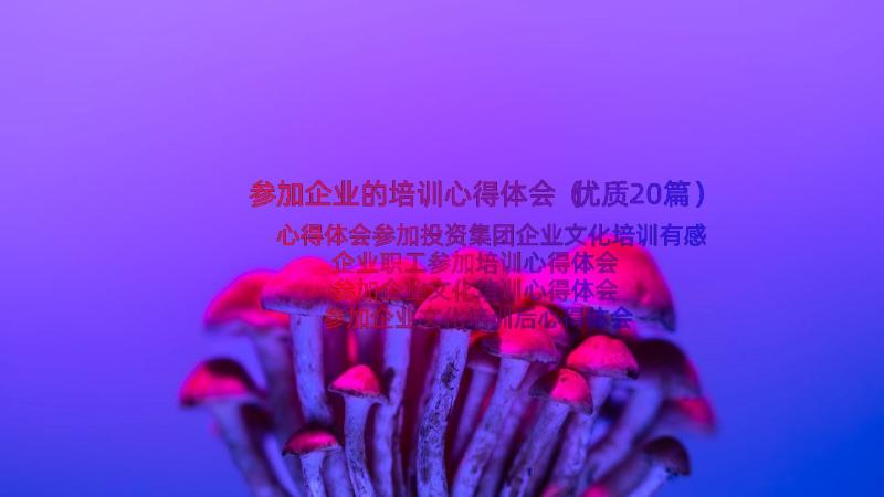 参加企业的培训心得体会（优质20篇）