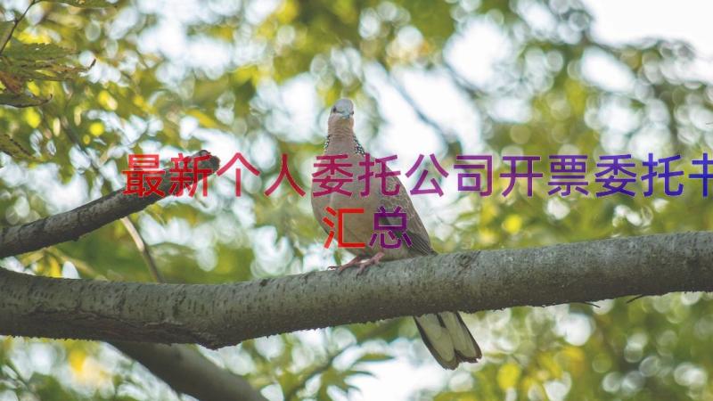 最新个人委托公司开票委托书（汇总12篇）