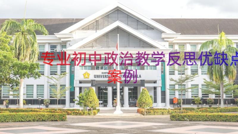 专业初中政治教学反思优缺点（案例17篇）