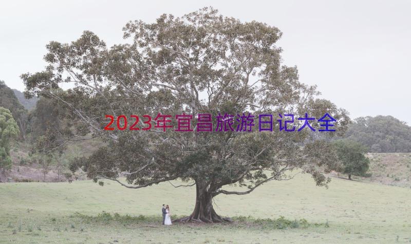 2023年宜昌旅游日记大全（17篇）