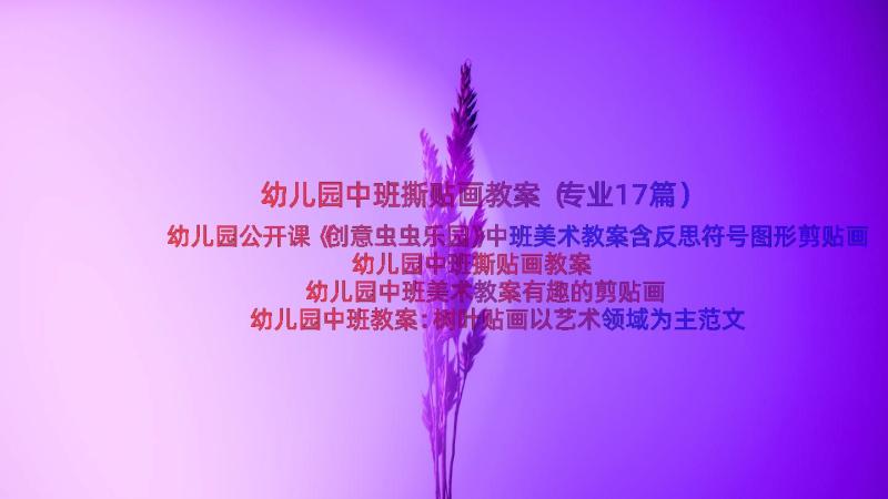 幼儿园中班撕贴画教案（专业17篇）