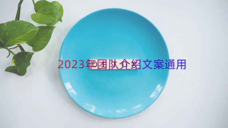 2023年团队介绍文案（通用18篇）