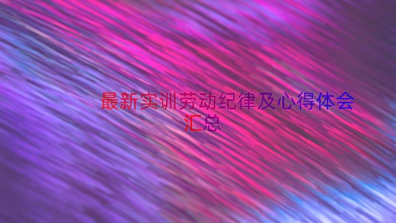 最新实训劳动纪律及心得体会（汇总17篇）