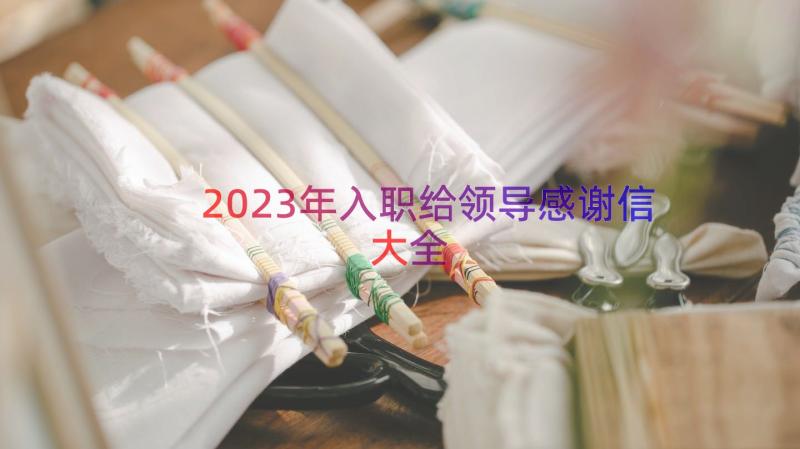 2023年入职给领导感谢信大全（16篇）