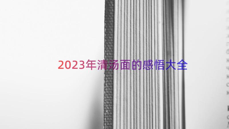 2023年清汤面的感悟大全（15篇）