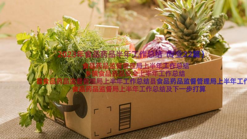 2023年食品药品半年工作总结（专业22篇）