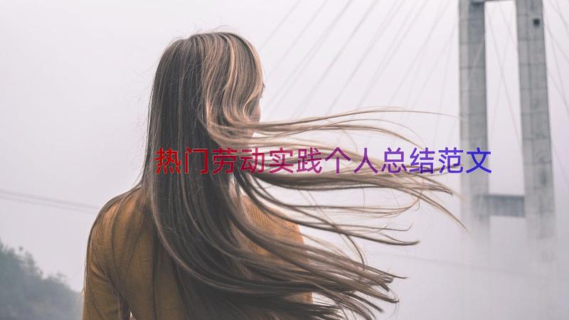 热门劳动实践个人总结范文（14篇）