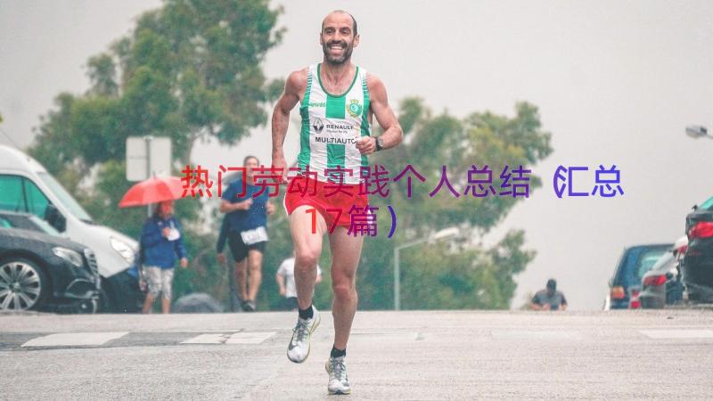 热门劳动实践个人总结（汇总17篇）