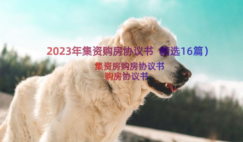 2023年集资购房协议书（精选16篇）