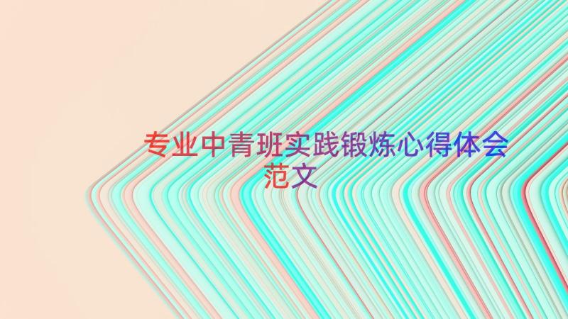 专业中青班实践锻炼心得体会范文（16篇）