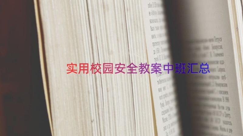 实用校园安全教案中班（汇总16篇）