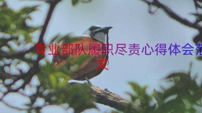 专业部队履职尽责心得体会范文（12篇）