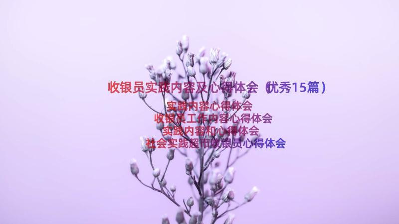 收银员实践内容及心得体会（优秀15篇）