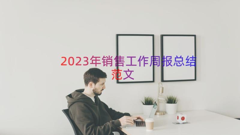 2023年销售工作周报总结范文（13篇）