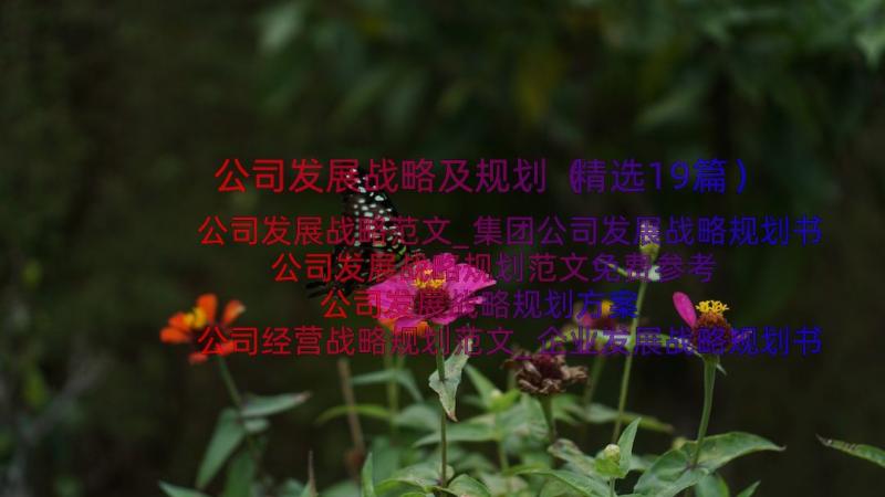 公司发展战略及规划（精选19篇）