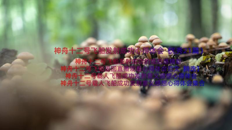 神舟十二号飞船发射成功心得体会（优秀21篇）