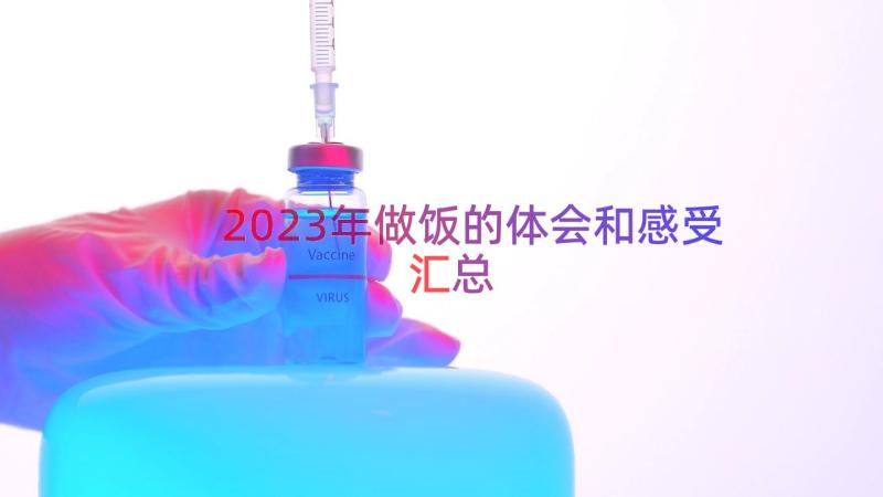 2023年做饭的体会和感受（汇总16篇）