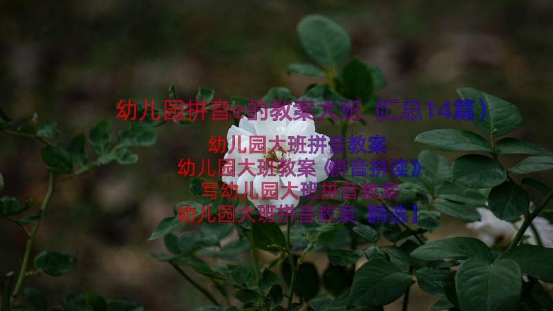 幼儿园拼音e的教案大班（汇总14篇）