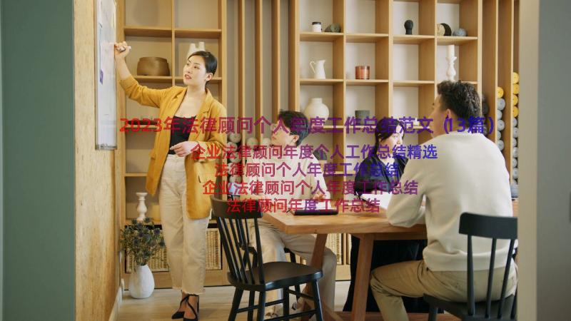 2023年法律顾问个人年度工作总结范文（13篇）