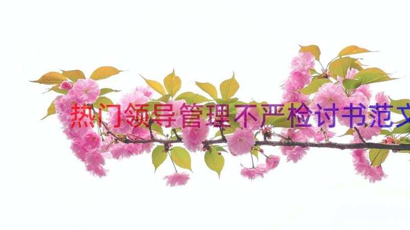 热门领导管理不严检讨书范文（18篇）