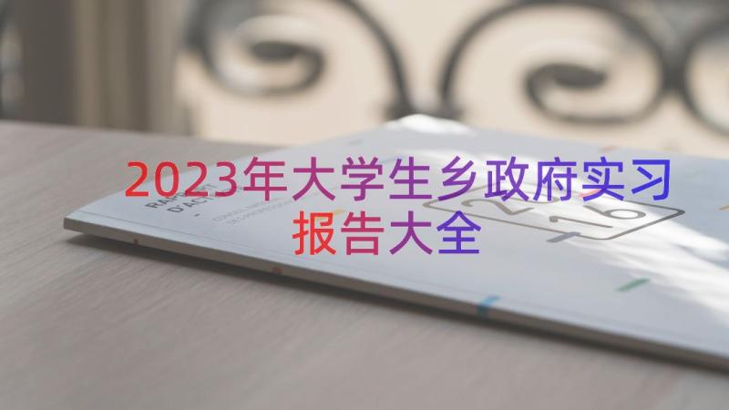 2023年大学生乡政府实习报告大全（15篇）