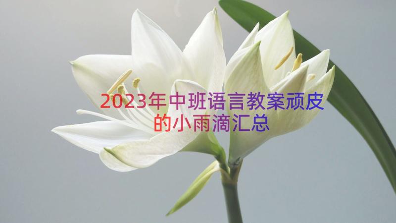 2023年中班语言教案顽皮的小雨滴（汇总17篇）