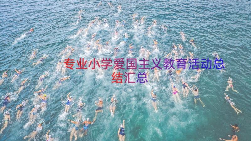 专业小学爱国主义教育活动总结（汇总18篇）