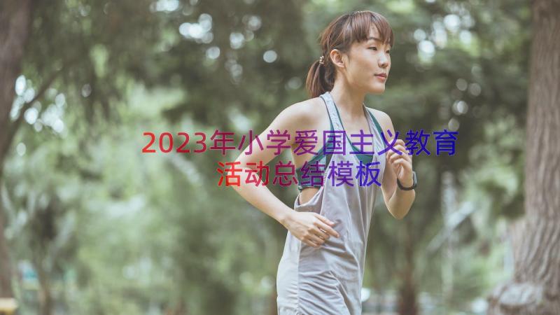 2023年小学爱国主义教育活动总结（模板15篇）