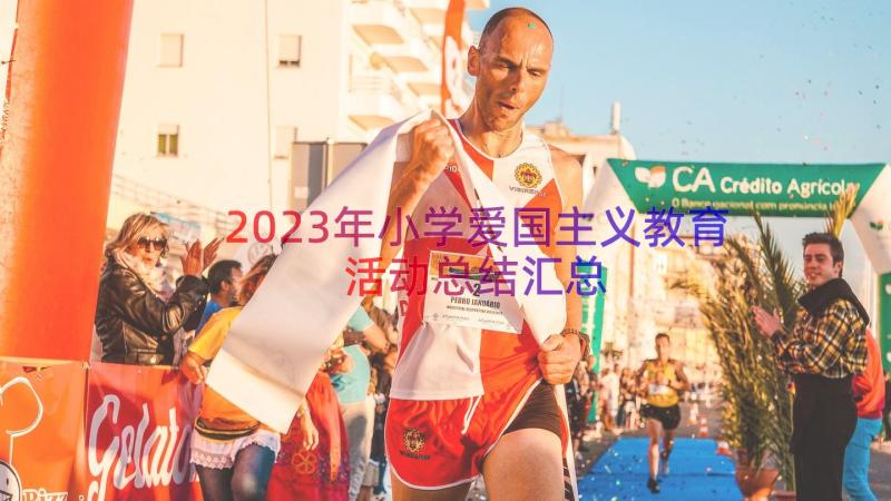 2023年小学爱国主义教育活动总结（汇总19篇）