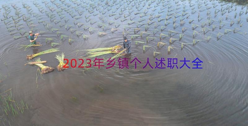 2023年乡镇个人述职大全（19篇）