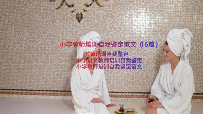 小学教师培训自我鉴定范文（16篇）