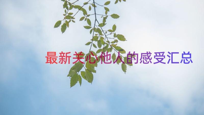 最新关心他人的感受（汇总14篇）