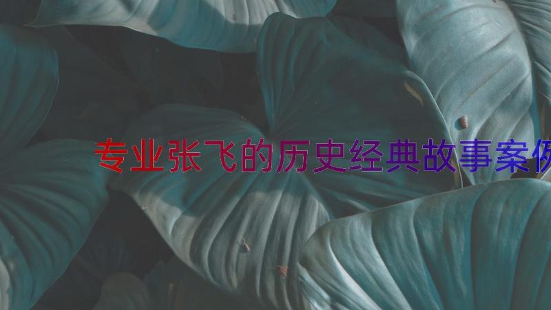 专业张飞的历史经典故事（案例19篇）