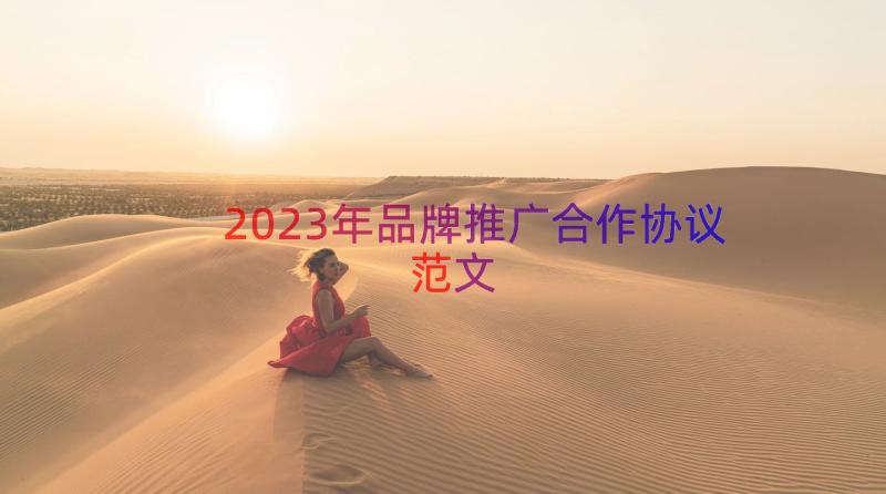 2023年品牌推广合作协议范文（14篇）