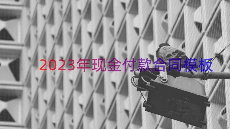 2023年现金付款合同（模板16篇）