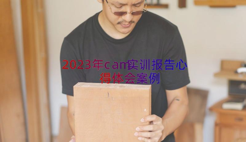 2023年cam实训报告心得体会（案例12篇）