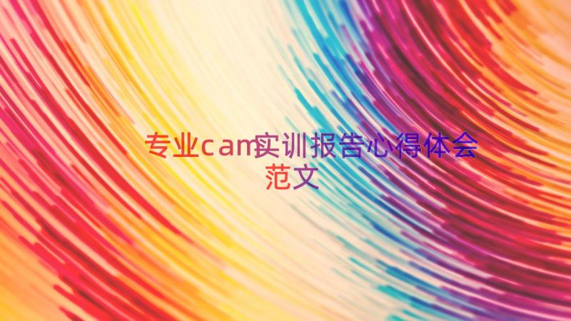 专业cam实训报告心得体会范文（17篇）