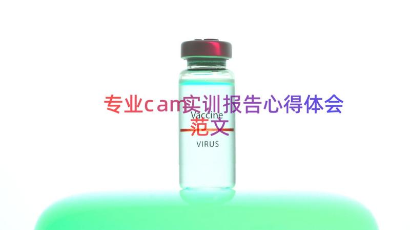 专业cam实训报告心得体会范文（16篇）