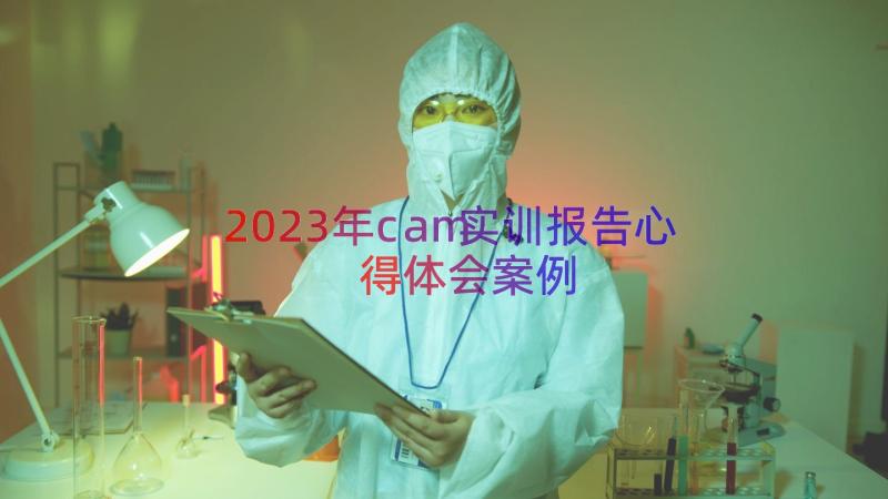 2023年cam实训报告心得体会（案例18篇）