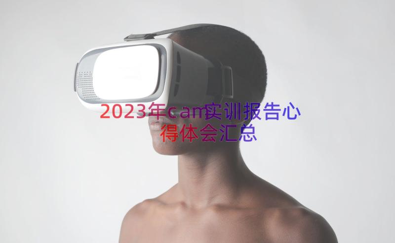 2023年cam实训报告心得体会（汇总19篇）