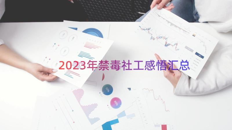 2023年禁毒社工感悟（汇总21篇）