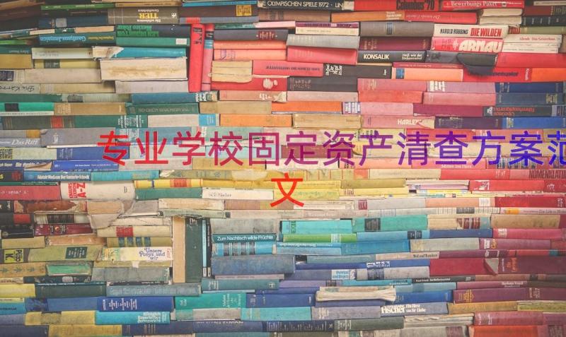 专业学校固定资产清查方案范文（15篇）