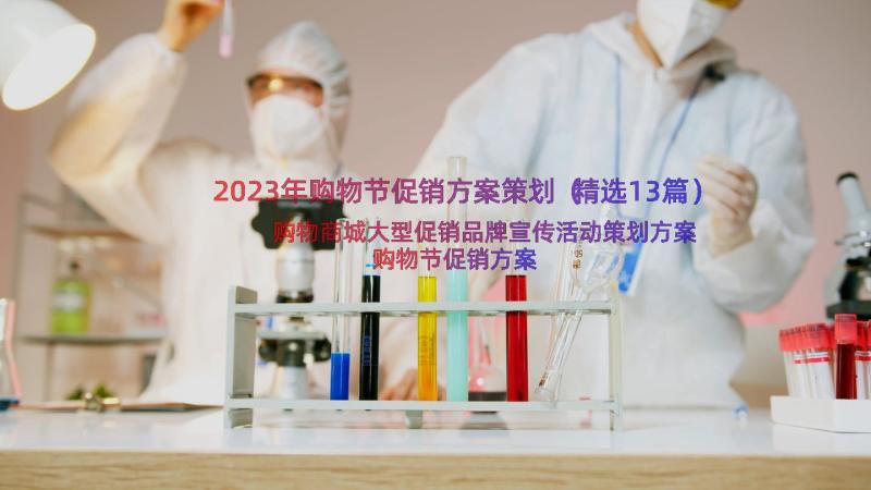 2023年购物节促销方案策划（精选13篇）