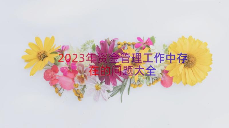 2023年资金管理工作中存在的问题大全（15篇）