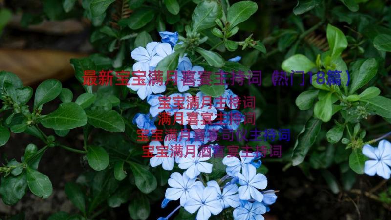 最新宝宝满月喜宴主持词（热门18篇）