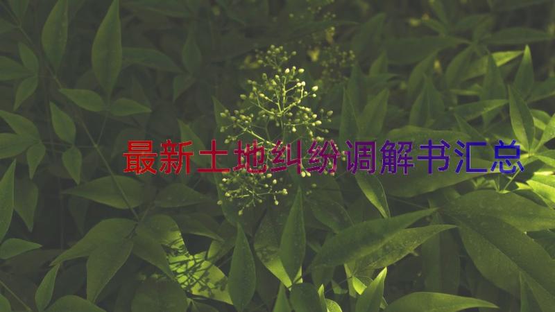 最新土地纠纷调解书（汇总17篇）